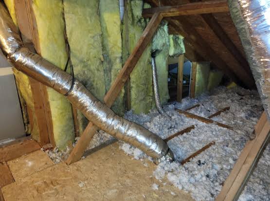How to Clean Up Animal Droppings in an Attic or Crawl Space