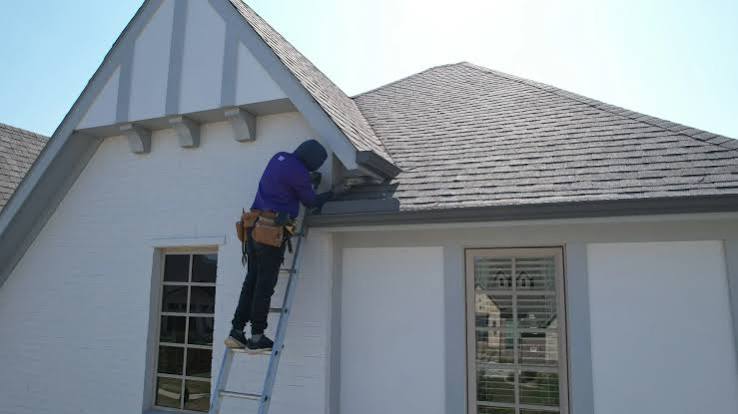Prevention, Repairs, and Exclusion Services The Complete Guide